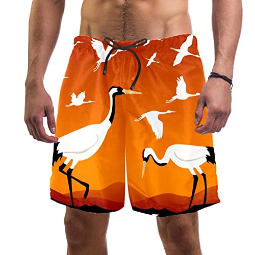 Maillots de bain pour hommes HadHfun à motif grues et oiseaux pour la plage