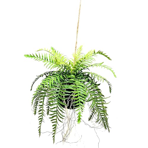 A tFCNO[ CeA  tFCN ۋ Ђ tFCN[t ϗtA lH݂艺A  ݂ lHϗtA T{e ϗt A  G nMO  O[ Mtg X 