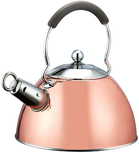 Bouilloire à sifflet SHISHI pour cuisinière gaz induction et théière universelle 2.5L