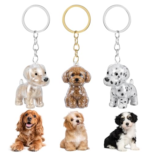 Ymapinc Dog Hair Keychain,3pcs Dog Fur Keepsake Memory Charm, Transparent