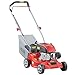 POLLOR Petrol Lawnmower Hand Push 149cc 4 Stroke 41CM Cutting Width 45L Grass Bag