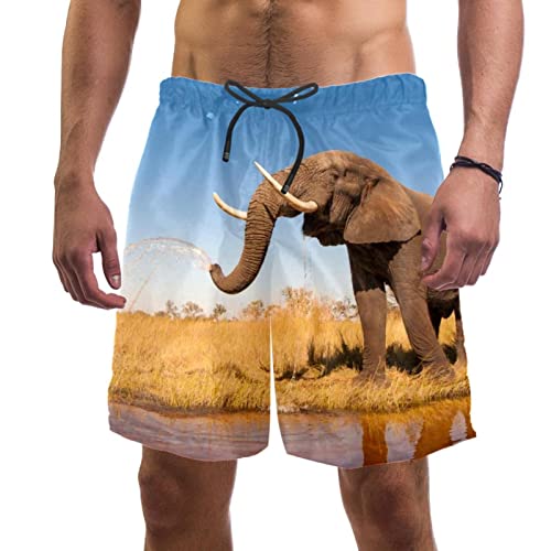Short de plage éléphant : maillots de bain hommes JDEZ