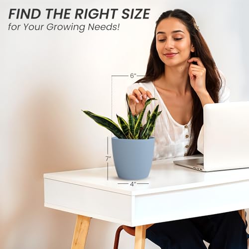 Image of YUCCABE ITALIA SHERA Stella 6 Inch Plastic Plant Pot for Home Decor Indoor Plant Pots for Living Room Plastic Flower Pot for Garden (Cyan, 6 INCH - 6 Pcs)