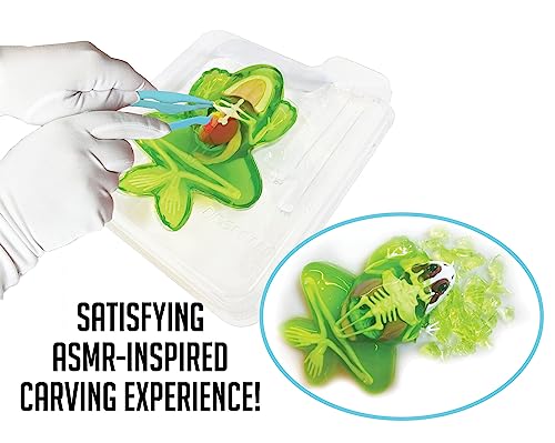 Dissect-It Simulated Synthetic Lab Dissection Toy, Stem Projects For Kids Ages 6+, Animal Science, Biology, Anatomy Home Learning Kits - Complete Set Of 4 (Frog, Salamander, Piranha, & Bat) #TOP2