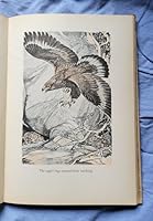 Tawny Goes Hunting B0006ANRYA Book Cover