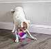 goDog Furballz Squeaky Plush Ball Dog Toy, Chew Guard Technology - Cool Rainbow, Small