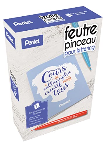 Pentel Arts Kit Lettering contenant 4 feutres pinceau Brush Sign Pen SES15C Noir, Rouge, Bleu ciel et Violet + 1 livret Cours de lettering pour tous offert