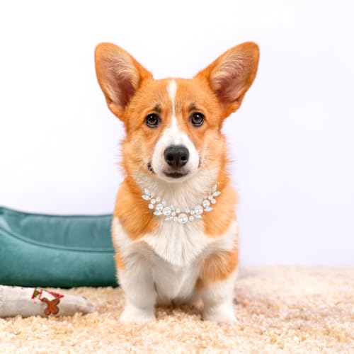 Image of HOWWFALY Dog Cat Pearl Collars with Cute Pet Paw Gold Chain Stainless Steel Collars Necklace Adjustable Collar Dog Chain Cat White Pearl Pet Collar (White, L)