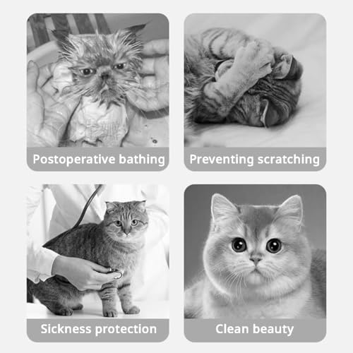 Image of MANON ROSA Cat Cone E-Collar: Soft After Surgery Elizabethan Collar Adjustable Cute Animal Design for Dogs Cats Puppies Kittens Rabbits Bunnies Prevents Licking (Bee,S)