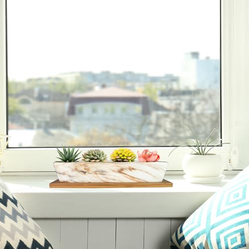 ARTKETTY Succulent Pots, 9.8 Inch Ceramic Succulent Planters with Drainage Small Bonsai Pot with Bamboo Tray, Mini Cactus Flower Planter Pot Shallow Rectangular Window Planters for Indoor Plants by ARTKETTY - Image 4