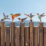 GAROMIA 5 Stück Gartendeko Bemalte Vogel – Deko Vögel Vogel Deko für Draußen Wetterfest,Wind- und Regenbeständig Vogelornamente für Gärten