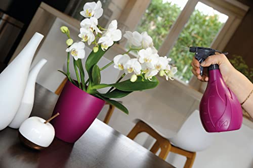 Hozelock 4118 0000 Sprayer, 800 ml, MultiColor - Image 3