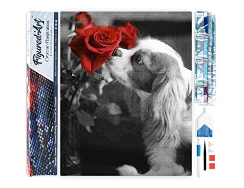 Broderie Diamant 5D DIY Chien et Rose pour s'initier aux loisirs créatifs