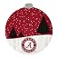 Alabama Crimson Tide