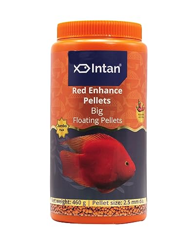 Image of Intan Red Enhance Pellets (Big 2.5mm Floating) | 460gm - Highly Nutritious Ornamental Fish Food for Parrotfish & Red Coloured Fish | Growel Feeds