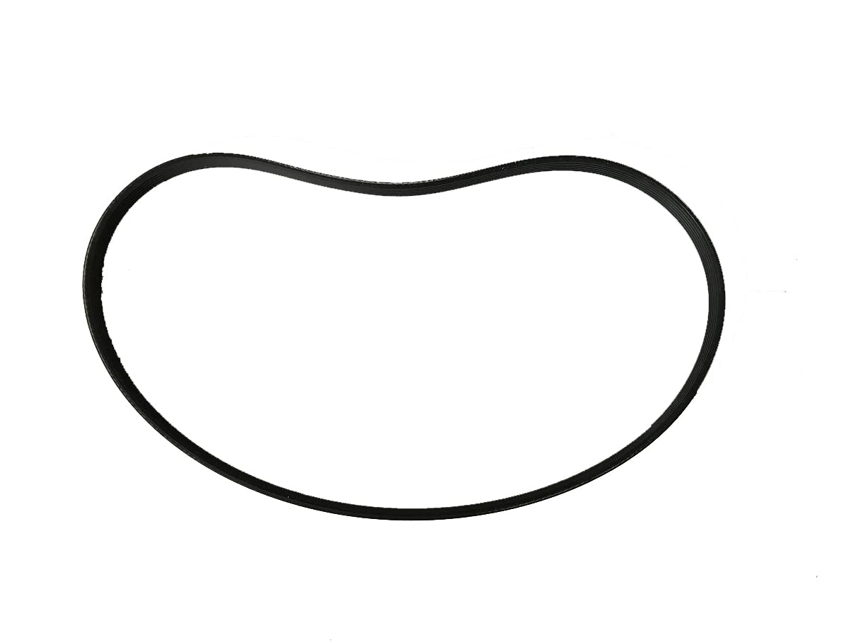 Synclean Courroie de transmission Poly V PJ769/303 J6 pour Vispa laveuse COMAC code : 421111