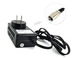 Intocircuit 48W 24V Mobility Male Scooter Battery Charger for Ezip Mountain Trailz Schwinn 4.0 S400 S500 Jazzy Power Chair