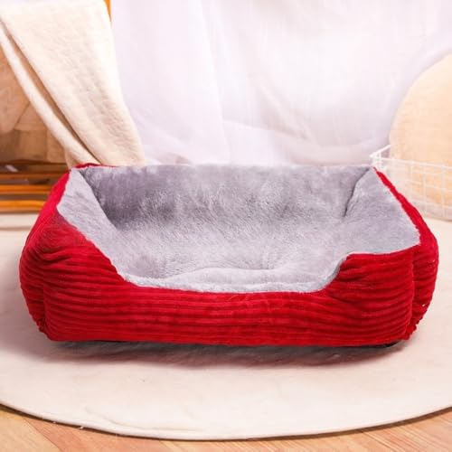 �uFLYKING�v�y�b�g�p�x�b�h �N�b�V���� �}�b�g �� �L ���� ���� ���^�� ���^�� ��^�� ������ �H�~ �x�b�h XS/S/M/L/XL/XXL (���b�h2,L)