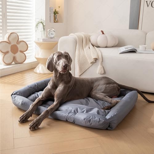 Wasserdicht waschbares Katzen und Hundebett mit Stabiler Seitenwand für kleine mittlere Tiere bis 25kg rutschfest Grau(L, 90x60x11 cm)