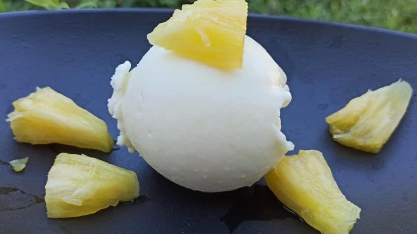 Sorbet Perfecto Eispulver │für besonders cremiges und leckeres selbstgemachtes Sorbet │Ohne künstliche Konservierungsstoffe keine Chemie│Vegan │ Inhalt 750 g – Bild 8