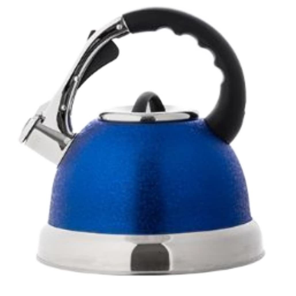 Bollitore Fischio Bollitore da Fornello Bollitore Con Fischio Per Piano Cottura In Acciaio Inossidabile Ingrandisci Beccuccio Bollitore Caldo Teiera Teiera Con Manico In Nylon Antiscottatura 3,5 Litri