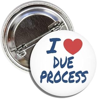 I Love Due Process Immigration Rights Political Button Pin, 1.50 Inches, Civil Liberties Free Speech Design