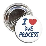 I Love Due Process Immigration Rights Political Button Pin, 1.50 Inches, Civil Liberties Free Speech Design