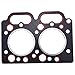 Czomoizc T7762-95 Head Gasket Compatible with Jinma FarmPro Nortrac AgKing JB Engine TY290 YD290 Y290 Tractor JM 200 224 2420 2010 NT204
