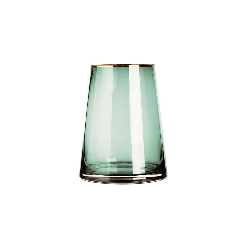 Vase en verre transparent vert de 19cm pour décoration de salon et art floral