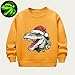Kids Girl Boy Boat Neck Fleece Lined Sherpa Festival Christmas Outfits Sweatshirt for Kid Long Sleeve Dinosaur Luminous Pullover Warm Fuzzy with Hood 2026 6 Years