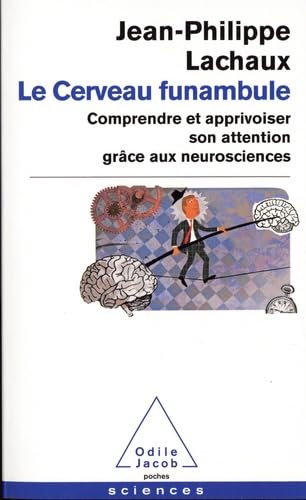 Le cerveau funambule