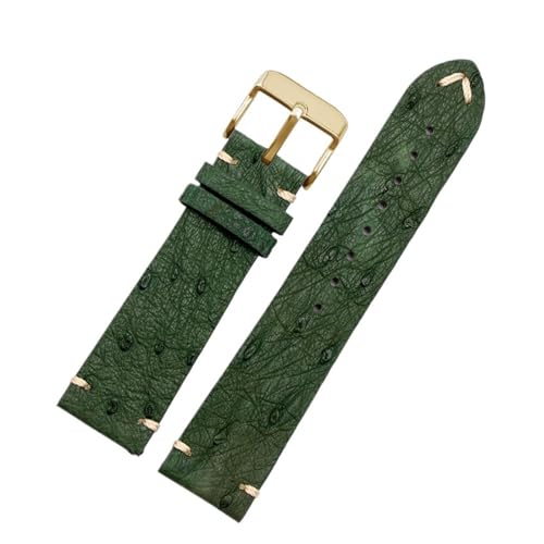 [X] 20 22mm uXbg bNXɓK ZCR[ubNO[ɓK EH[^[S[XgɓK eB\ɓK IKɓK _`EvvohɓK YуfB[XvXgbv(A-green-gold,22mm)