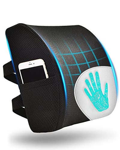 Maxesla Back Support for Office Chair, Ergonomic Memory Lumbar Support Cushion, Chair Back Support with Dual Adjustable Straps and Breathable Mesh Cover,Side Pocket Lumbar Support for Office Chair,Car