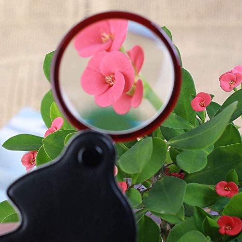Loupe pliante 3,5 fois verre HD compact de haute précision - 4