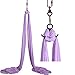 DASKING Aerial Silks Starter Kit - Durable 11Yards of Aerial Yoga Hammock with Hardware, Aerial Swing for Acrobatic Flying Yoga & All Levels (Aerial Rigging Point Up to 14ft)