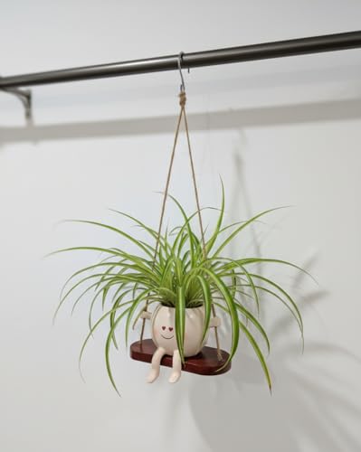 Image of Hanging Planter Pot with Swing, Cute Smiling Face Design | Heart Eyes, Decorative, Indoor & Outdoor Plant Holder