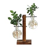 ▶ ▷ El paquete incluye: 2 jarrones de bombilla de terrario para plantas, 1 soporte de madera, 1 soporte giratorio de metal, 6 juntas de goma pequeñas. El producto no incluye las plantas u otros objetos decorativos en las imágenes.