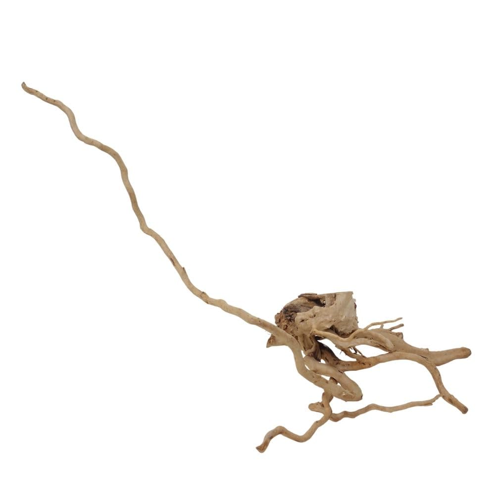 AquaOne Raíz de Moorkien XL nº 1671 Acuario Raíz de Madera Decorativa Aquascaping Decoración Paisaje Moorkien Moorkien Madera Roja Mangrove Musgo Naturaleza Madera Real