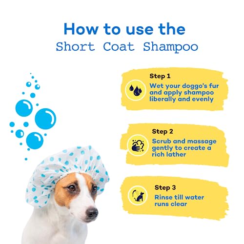 Image of Dog Shampoo for Labrador, Beagle and Indie | 250 ml | Coat Cleanser with Jojoba & Castor Oil, Made Safe | Good Smell