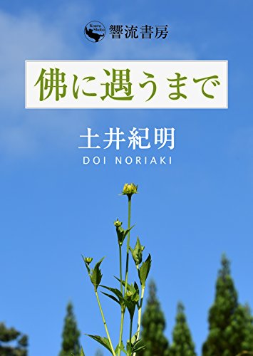 無料電子書籍 pdf 佛に遇うまで (響流選書) バイ