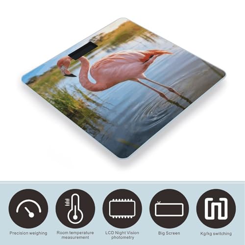 Báscula digital de baño con plataforma de vidrio templado 10x10 in miniatura 3
