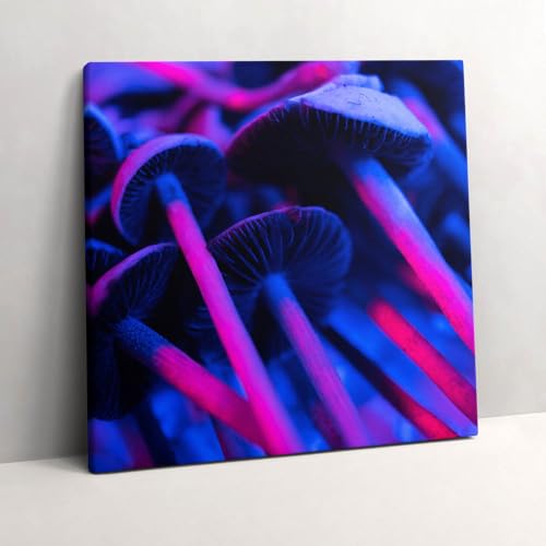 Champignons colorés magiques toile 60x60cm Wallfluent