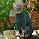 Hjyokuso Katzenbekleidung, Katzenpullover, Sphynx Pullover Mit Vier Beinen, Katzenbody Nach Op, Katzen Kleidung, Pullover Für Katzen, One Piece Pullover Für Sphynx,Cornish Rex,Devon Rex,Peterbal