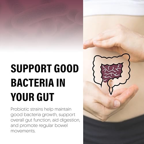 Meibotan Probiotic Supplement 120 Billion CFU For Men & Women with 16 Strains - Stimulates the immune system Digestion Immunity Support- 60 Veg Capsules