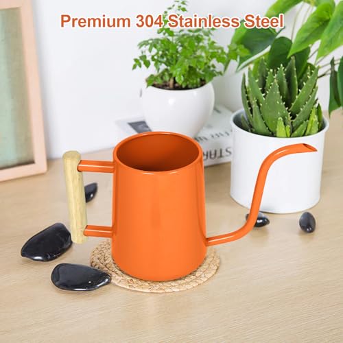 Image of Watering Can Indoor Plants, 35 oz /1000 ml Metal Stainless Steel Watering Can Pot with Long Spout for Indoor House Plants Bonsai Outdoor Garden Flower Decorative (Orange)