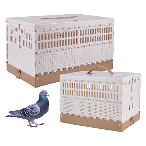 Plastic Foldable Pigeon Cage with Handle, Portable Bird Travel Carrier Cage Pigeon Cage Pairing Cage Pigeon Nest Box Easy to Clean for Training and Release Competition(S)(Two Doors)