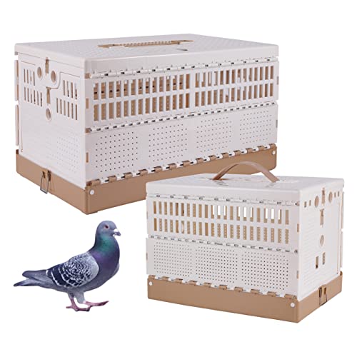 Plastic Folding Pigeon Cage, Portable Pet Bird Travel Cage Pigeon Cage Pairing Cage Pigeon Nest Box Easy to Clean, for Training and Release, Competition (S) （Two Doors ）