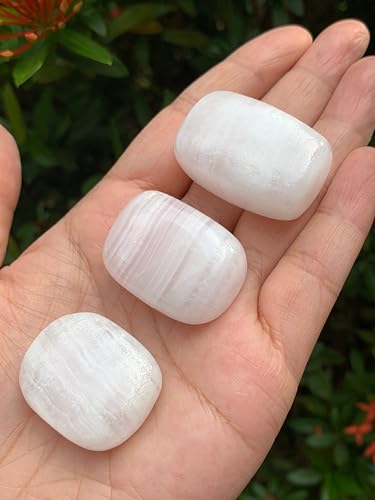 Image of GAF TREASURES 1 /2 LB Pink Calcite Tumbled Stones, Polished Natural Pink Calcite Gemstone, Pink Calcite Healing Crystals (Pink Calcite)