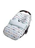 Termorregulador Petit Lazzari Coches - Saco Universal para sillas bebe grupo 0, 49 x 53 cm, color verde agua