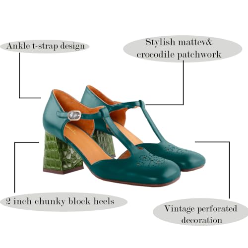 Women Chunky Heel Mary Jane Pumps Ankle T-Strap Mary Jane Heels Square Toe Crocodile Two Tone Dress Heeled Sandals 2” Block Heel Mary Janes Cut Out Sandals Patchwork Party 4-11 M US3